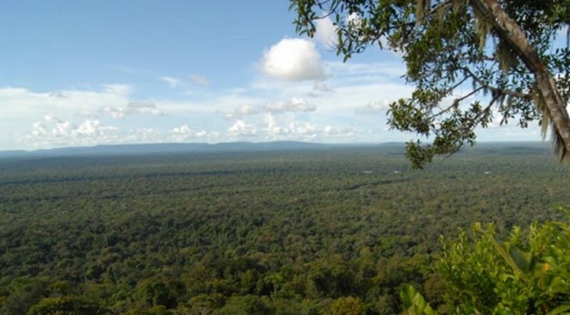 Iwokrama Forest Reserve